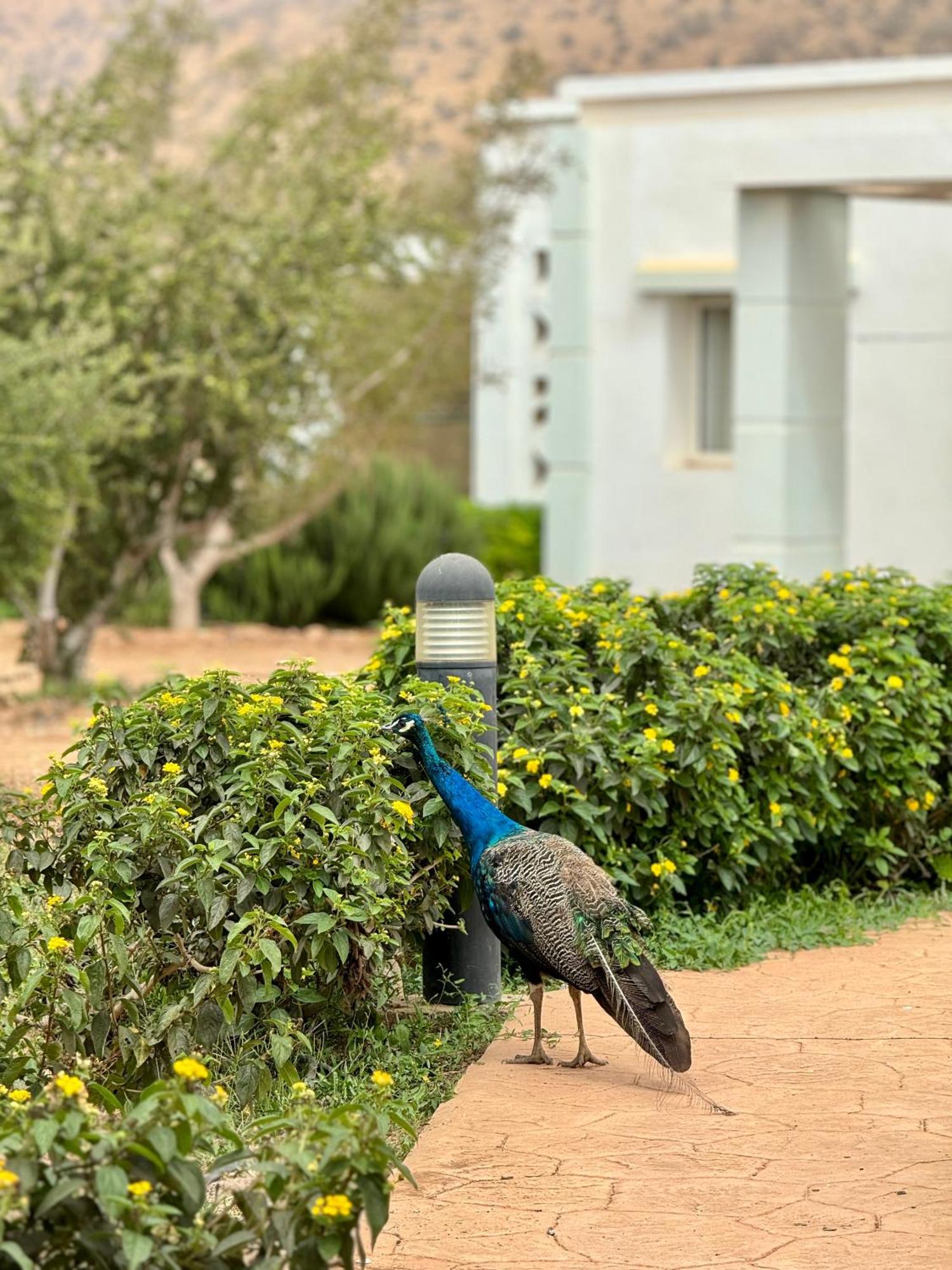 Lunja Village - Agadir Imi Ouaddar Ngoại thất bức ảnh